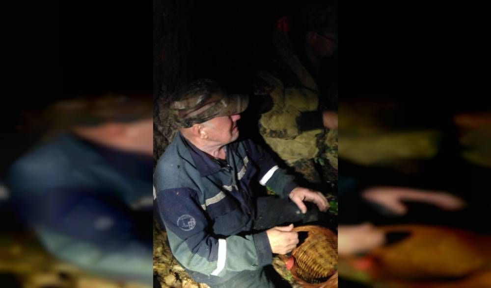 В лесу в Смоленской области спасли грибника