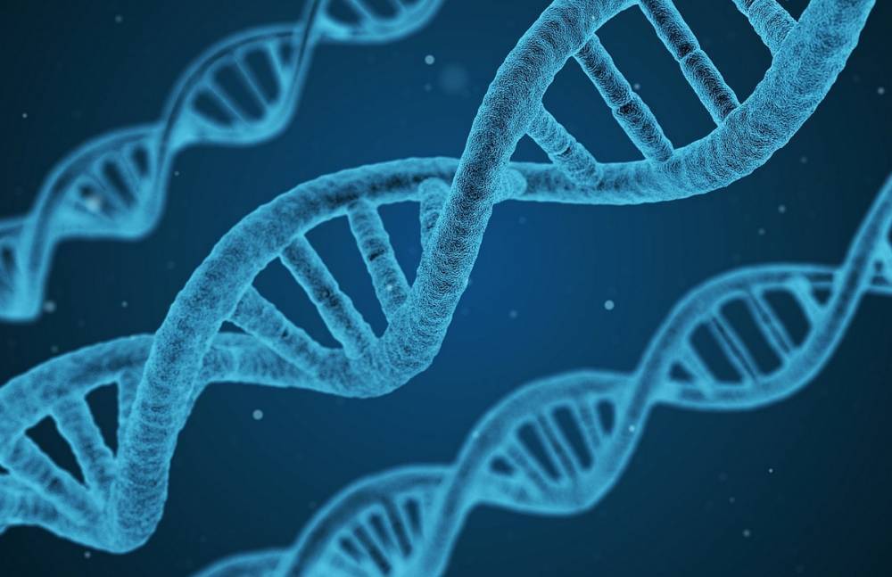 В ДНК бурят, возможно, обнаружили уникальные особенности