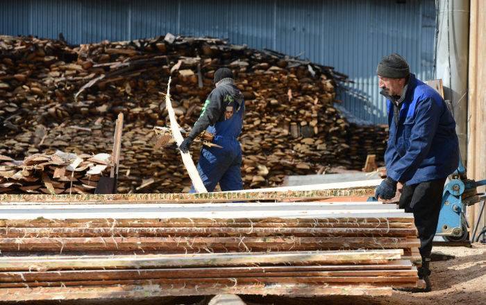 Полиция обнаружила незаконно действующий цех по обработке древесины в Иджеване