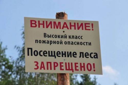 В Ростовской области продлили ограничение на пребывание в лесах