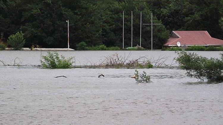 Более 60 человек погибли из-за наводнений на северо-востоке Индии