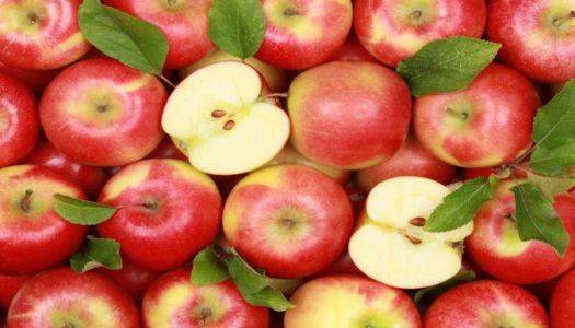 Україна може встановити рекорд з експорту яблук