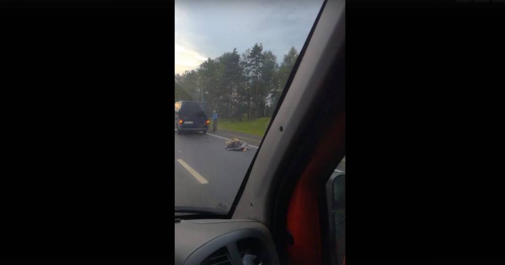 На трассе М1 в Смоленской области под колесами большегруза погиб пешеход