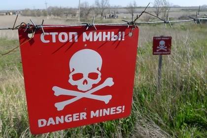 Украинские военные подорвались на мине после начала перемирия