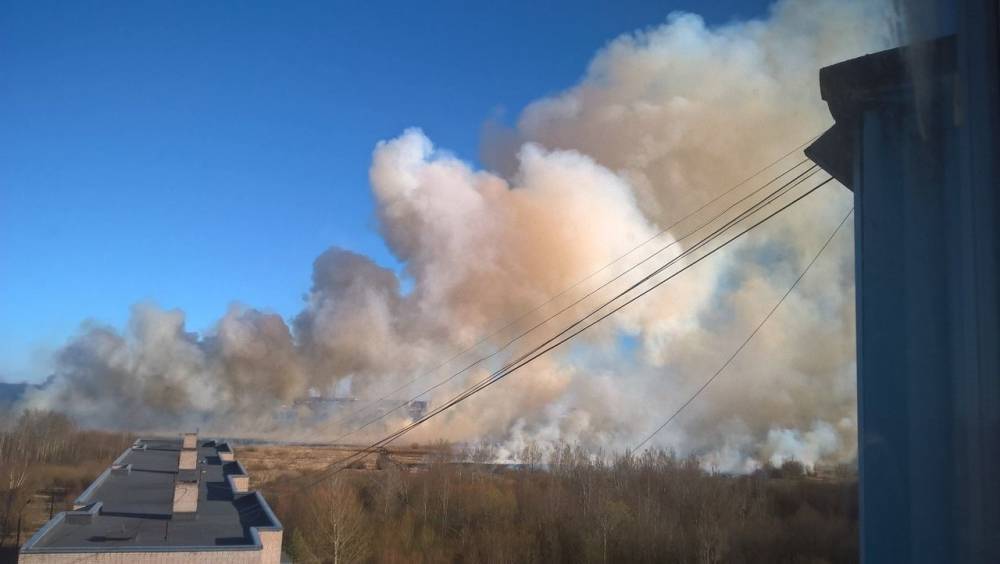 До Новосибирской области дошел дым лесных пожаров в Красноярском крае