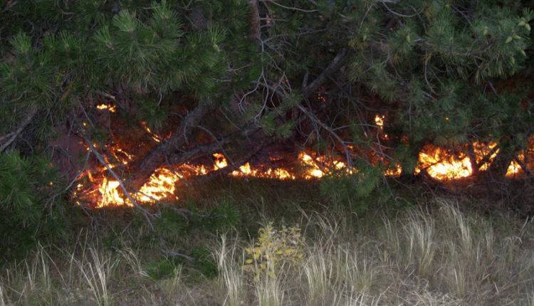 На горе Жека Батыр в Казахстане загорелся лес
