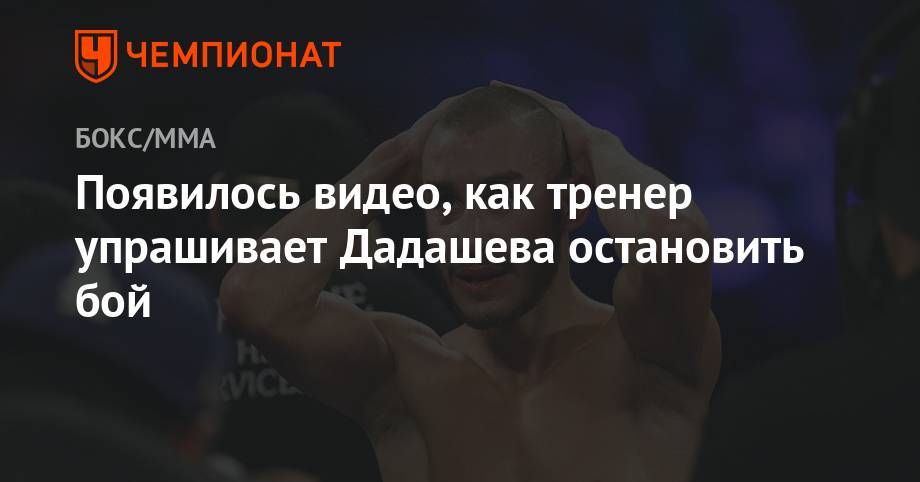 Появилось видео, как тренер упрашивает Дадашева остановить бой