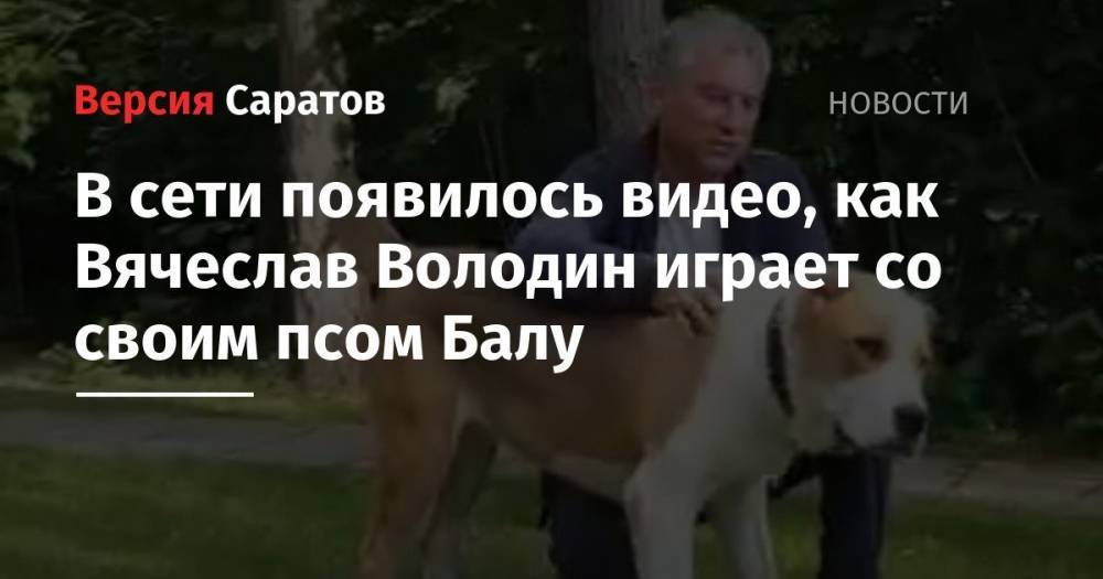 В сети появилось видео, как Вячеслав Володин играет со своим псом Балу