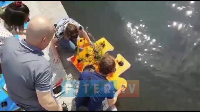 Видео: Активисты спустил на Карповку пазлы с цветами