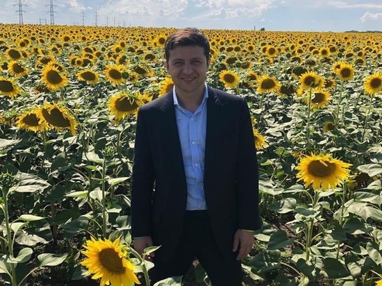 В Раде Украины будет «монокоалиция» Зеленского, считает эксперт