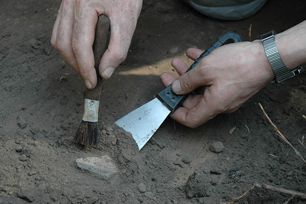 Несколько сотен артефактов времен викингов обнаружено в Псковской области