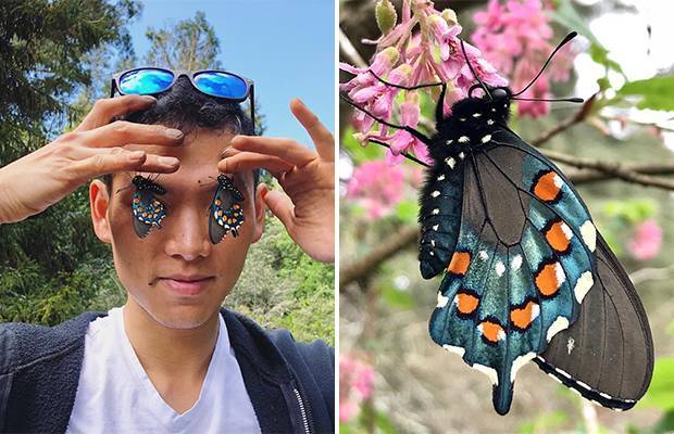 Парень из Сан-Франциско выводит редких бабочек у себя во дворе