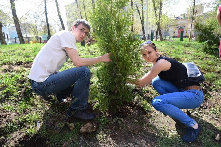 Москвичи подали более двух тысяч заявок в рамках проекта «Наше дерево»