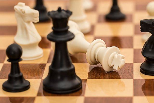 Международный день шахмат в Москве посетили 60 тыс. человек