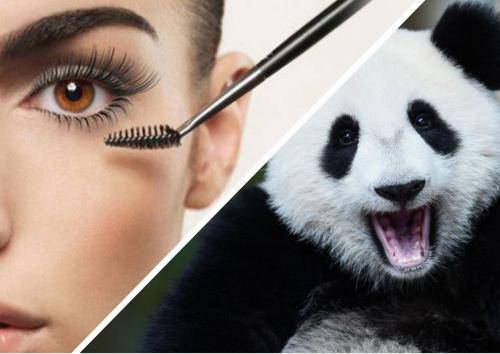 Опа, панда-стайл: Чем люксовая косметика от Chanel не угодила россиянкам?