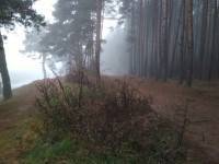 В Тверской области ожидается туман - ТИА