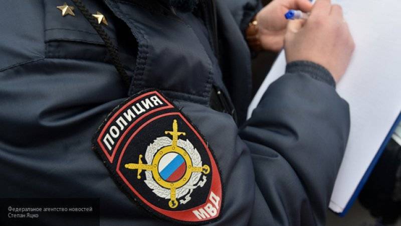 Полиция ищет двоих подростков за интимную связь со школьницей в Петербурге