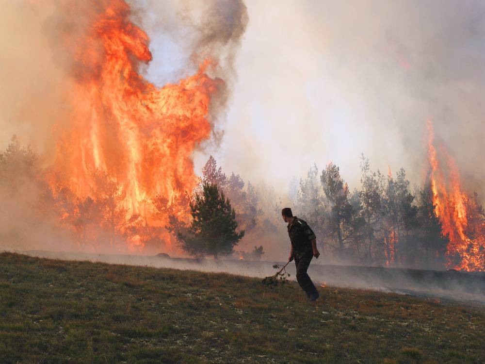 Площадь пожаров в Якутии увеличилась до 411 тыс. га. РЕН ТВ