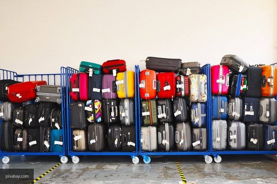 Правила провоза багажа через границу изменятся для россиян в августе