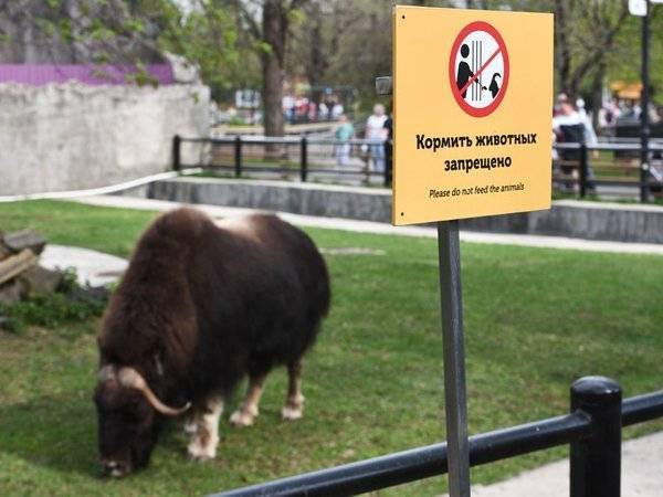 СМИ узнали о несоответствии половины зоопарков России новому ГОСТу