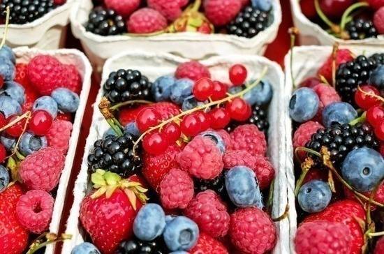 НДС на плодово-ягодную продукцию предлагается снизить до 10%