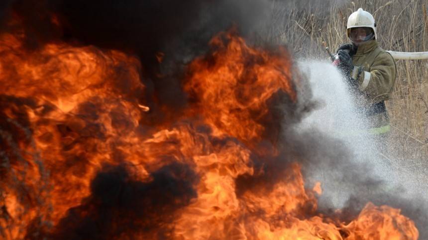 Видео: Оренбургская область горит из-за природных пожаров