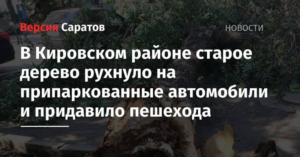 В Кировском районе старое дерево рухнуло на припаркованные автомобили и придавило пешехода