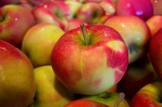 Эксперты объяснили новые правила провоза фруктов в ручной клади