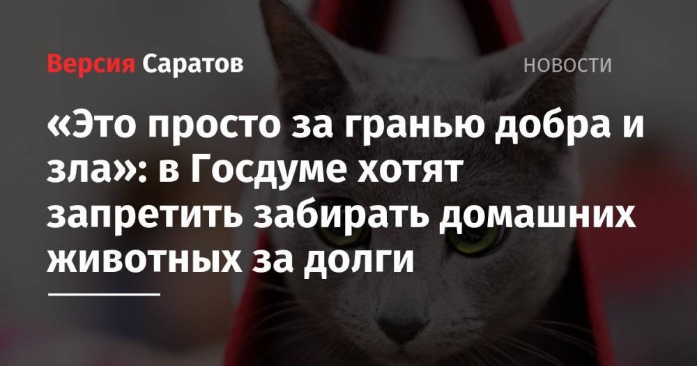 «Это просто за гранью добра и зла»: в Госдуме хотят запретить забирать домашних животных за долги