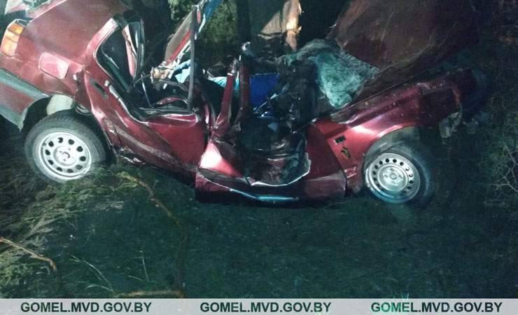 В Мозырском районе пьяный бесправник врезался в дерево и погиб — фотофакт
