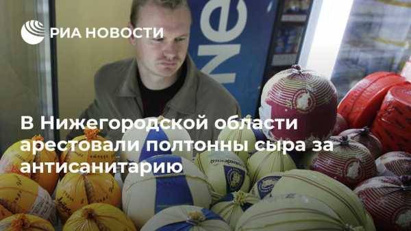 В Нижегородской области арестовали полтонны сыра за антисанитарию