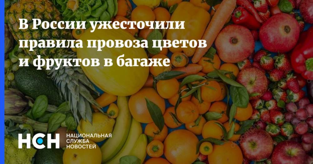 В России ужесточили правила провоза цветов и фруктов в багаже
