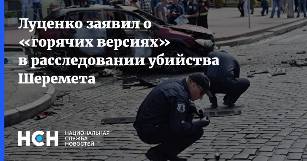 Луценко заявил о «горячих версиях» в расследовании убийства Шеремета