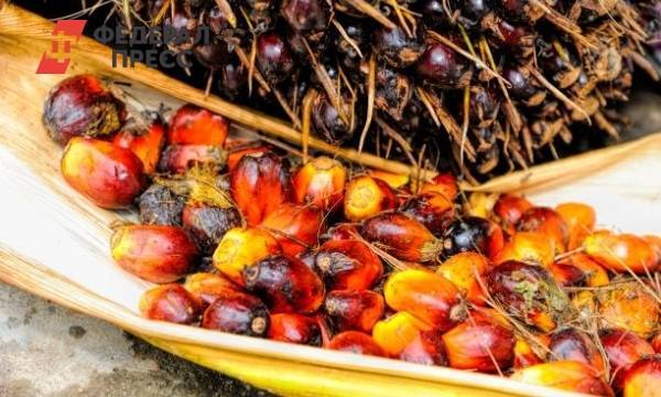 Комитет Госдумы одобрил повышение НДС на пальмовое масло | Москва | ФедералПресс