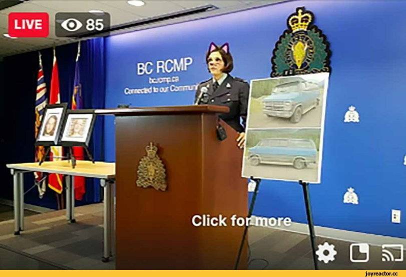 Канадская полиция случайно показала в Фейсбуке пресс-конференцию о двойном убийстве с включенным «кошачьим» фильтром.