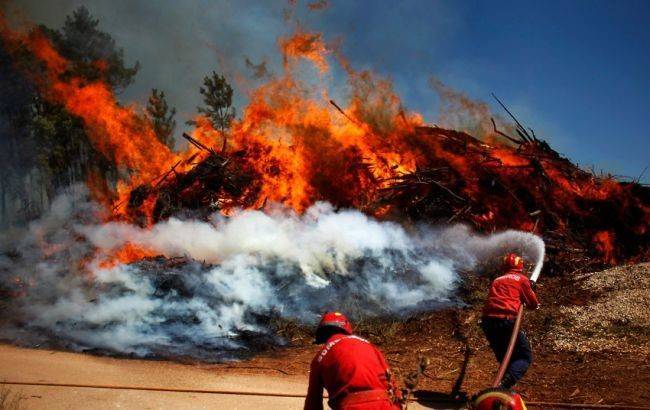 Пожары в Португалии: туристов просят воздержаться от посещения лесов