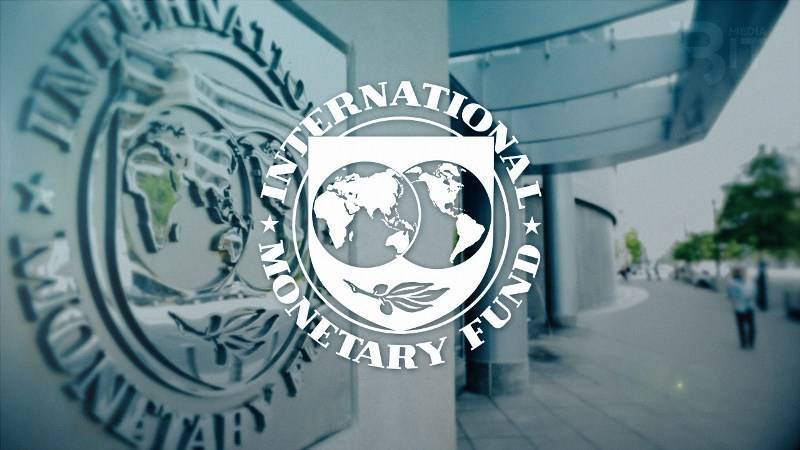 Оберут до нитки: назначать украинского премьера будет только МВФ – Олейник