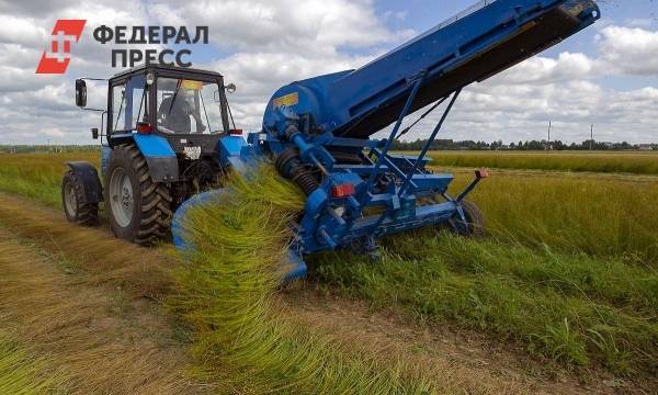 Благодаря цифровым технологиям новосибирские аграрии смогут быстрее получать господдержку | Новосибирская область | ФедералПресс