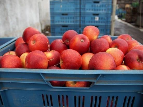 Утверждены новые правила ввоза сельхозпродукции: 5 кг фруктов, три букета