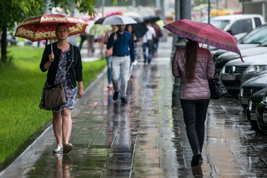 Тепло и сыро: синоптики рассказали москвичам о погоде во вторник