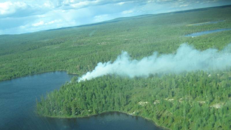 Лесные пожары в Иркутской области распространились на 217 тысяч гектаров