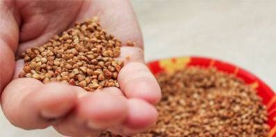 «Орелагроинвест» оштрафовали за хранения зерна с нарушениями