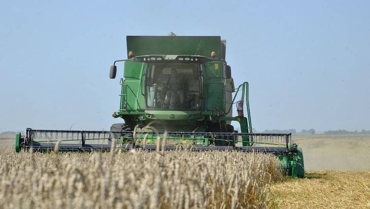 Брянская область стала лидером в России по росту урожайности зерновых