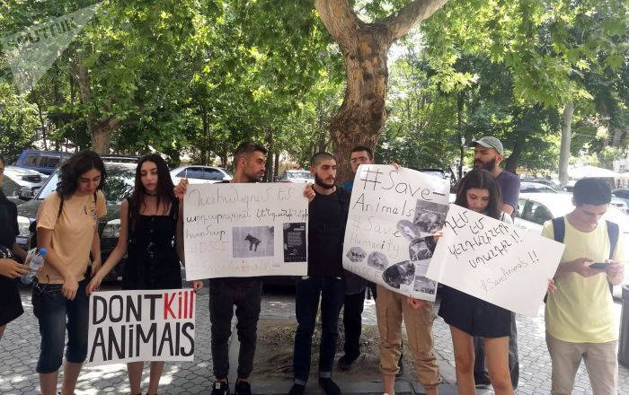 "Нам надоели эти убийства": активисты в Ереване требуют защитить животных