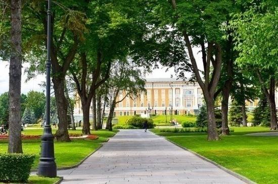 Петербургские депутаты предложили увеличить территорию зелёных насаждений города