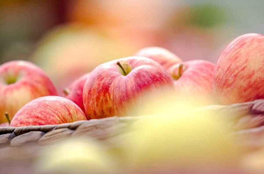 Запрет на яблоки из Белоруссии отменили