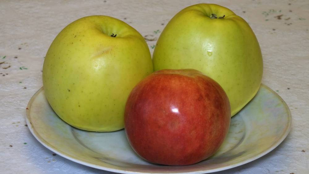 Проверили лично: Белорусские яблоки добавили в белый список после рейдов по складам и садам