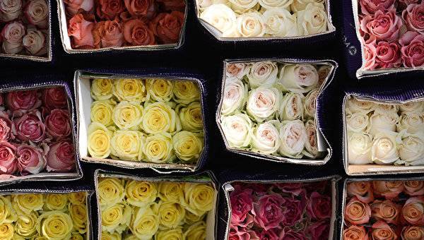 Миллион алых роз не пройдет: россиян ждут ограничения ввоза фруктов и цветов