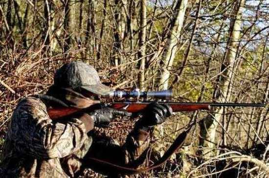 СМИ: в России могут ужесточить процедуру получения охотничьего билета