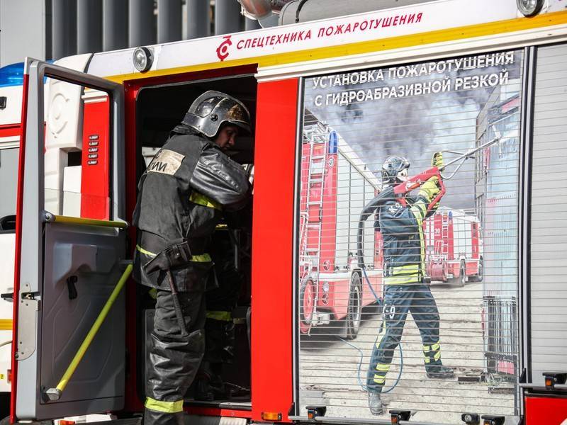 Два человека погибли на пожаре в подмосковном ОПХ